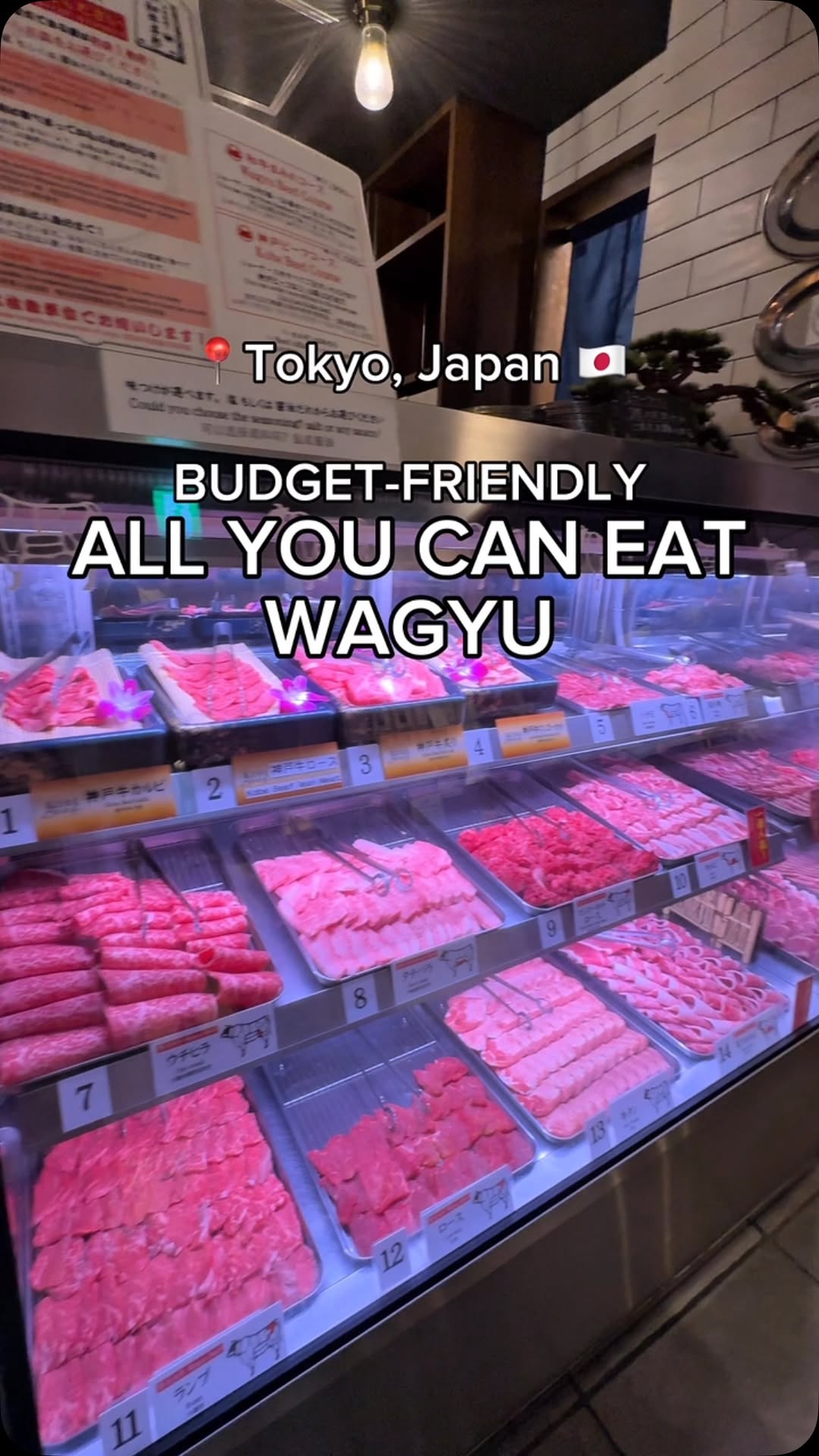All-you-can-eat wagyu in Tokyo and for SO cheap! Save this place for your Japan trip 🤤
📍Niku-ya-Yokocho Eat-All-You-Can Wagyu Beef Akihabara
Address: 101-0021 Tokyo, Chiyoda City, Sotokanda, 1 Chome-18-19 BITO AKIBA, 3F
🥩 ¥7000 for 90min All-you-can-eat wagyu course
🥩 ¥15000 for 90min All-you-can-eat Kobe beef course
🍻 Additional ¥1000 for all you can drink alcohol
Booked this place through Klook!
💸Use my code MAYAJAPAN for discounts!
#japan #tokyo #wagyu #meat #kobebeef #japantravel #japanesefood #japaneserestaurant #cheapeats #klookkreator #kreatorpicks