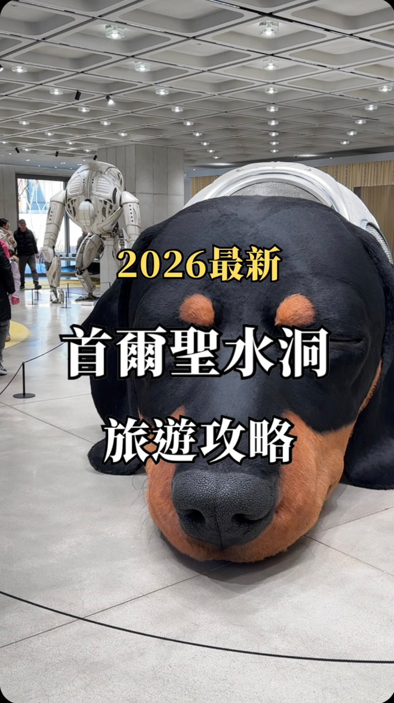 #韓國旅遊 推薦!
由舊工業區轉型為「首爾布魯克林」
集結了時尚潮牌、精品快閃店、特色咖啡廳
以下推薦來 #聖水洞 必吃必逛
- - - - - - - - - -
➀ 陵洞水芹菜
Neungdong Minari 능동 미나리 성수점
連Hebe東海都來吃的水芹牛骨湯
🈺 平日9:30 假日9:00-00:00
➁ Standard Bread 스탠다드브레드 성수
烘焙咖啡|鐵鍋焦糖法式吐司
🈺 9:00-21:00
➂ HAUS NOWHERE SEOUL
以「前所未有之境」為靈感,提供互動式設計體驗
🈺 11:00-21:00
➃ 로에 성수 LOE SEONGSU
韓國小眾品牌香水,免費客製化刻字
🈺 11:00-21:00
➄ 29cm.home 이구홈 성수
質感家居選物店 旁邊是知名開心果gelato
🈺 11:00-22:00
➅ Blue Elephant Space Seongsu
未來感空間設計 韓國墨鏡品牌
🈺 10:00-22:00
➆ 祖傳三代馬鈴薯排骨湯
소문난 성수 감자탕 24H
➇ Kodak Corner Shop 코닥 코너숍
弘大明洞也有 周邊很可愛
🈺 10:30-20:30
➈ MilkyShop Seongsu Store 밀키샵 성수점
最有名伴手禮「焦糖奶油餅乾」
🈺 12:00-21:00
- - - - - - - - - -
🏷️|#hh玩首爾 #首爾美食推薦 #首爾景點