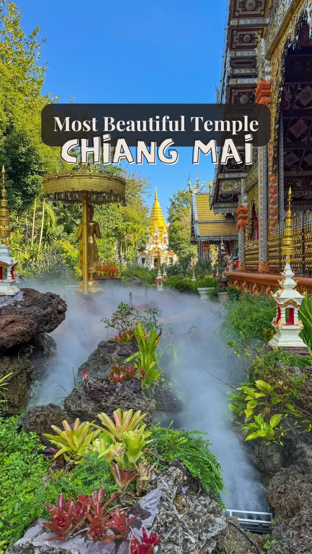 Wat Sri Don Moon is not busy with tourists, but that’s exactly what makes it special, authentic, and beautiful 😍
It is my favourite temple in Chiang Mai and I’m honestly surprised it isn’t well known yet 😆
There’s no entry fee. The temple grounds are well maintained and the inside of the temple is one of the most elegant and well detailed I’ve seen 🤩
📌 Save this post for your Thailand trip