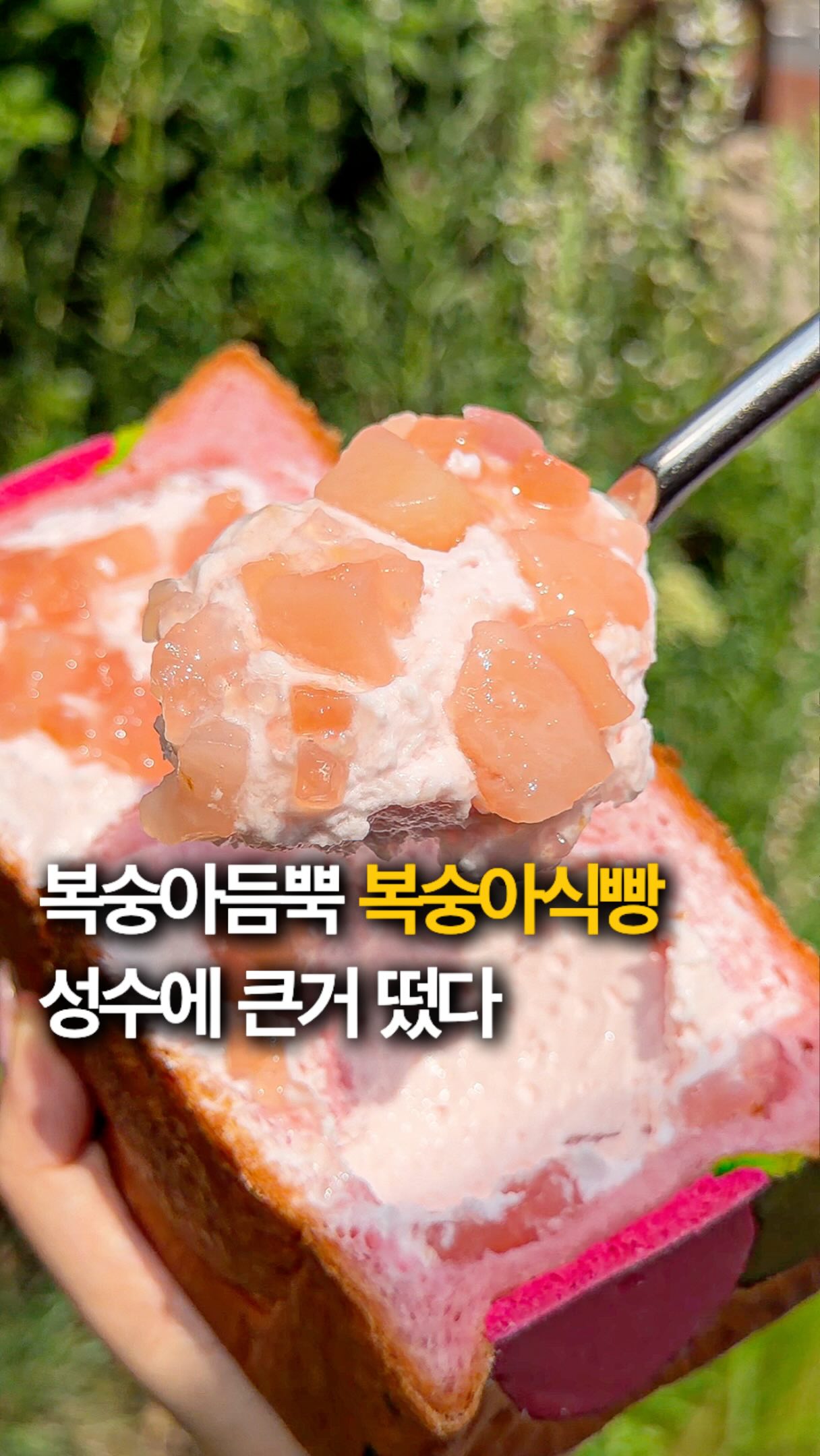 복숭아크림 복숭아폭탄 복숭아식빵🍑 VS 호박인절미 식빵🎃 @@ 빵순이 빵돌이 친구에게 알려주기
식빵 하나로 성수에서 줄세운다는 역대급 핫플🫢 호박인절미식빵 먹으러갔다가 갓나온 복숭아식빵 먹고 기절하고옴😭
부드럽고 촉촉한 빵결안에 입에서 살살 녹는 산뜻한 복숭아 크림이 듬뿍 들어갔는데 거기에 복숭아까지 잔뜩 들어가서 어디를 깨물어도 복숭아 + 크림이라 완전 행복 ㅠㅠㅠ
이미 너무 유명한 호박인절미 식빵까지 담백쫄깃하니 너무 맛있으니까 성수가면 꼭 가보기👍
@hey_jihye__
@hey_jihye__ 팔로우하고 매일 새로운 신상, 꿀팁 정보 꺼내드세요😉
📍#스탠다드브레드 성수
서울특별시 성동구 성수이로18길 37 1층
🕖 09:00-21:00
#성수데이트 #복숭아 #빵지순례 #성수맛집
Peach Cream, Peach Explosion Peach Bread 🍑 VS Pumpkin Injeolmi Bread 🎃
@@ Tag your bread-loving friend 🥹🍞
This bakery is so popular in Seongsu that people literally line up just for the bread. 🫢 I came for the Pumpkin Injeolmi Bread... but ended up completely obsessed with the freshly baked Peach Bread. 😭
The bread is unbelievably soft and fluffy, packed with light, refreshing peach cream that melts in your mouth. And they don‘t hold back on the peaches either—every single bite is filled with juicy peach and cream. Pure happiness. 🥹🍑
The famous Pumpkin Injeolmi Bread totally lives up to the hype too. It’s chewy, nutty, and incredibly satisfying. If you‘re visiting Seongsu, this place is a must. 👍
@hey_jihye__
Follow @hey_jihye__ for daily food finds, new releases, and hidden gems. 😉
📍StandardBread Seongsu
1F, 37 Seongsui-ro 18-gil, Seongdong-gu, Seoul
🕖 09:00–21:00
