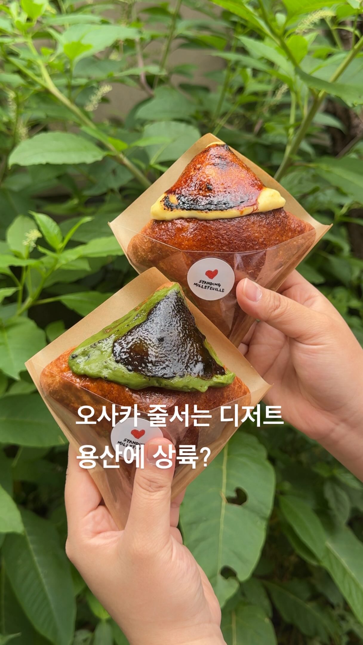 (공유🫶🏻) 오사카 줄 서던 크림브륄레 밀푀유, 용산 상륙?
오사카 여행 가면 꼭 먹어야 한다던 그 밀푀유,
이제는 서울에서도 맛볼 수 있어요!
둘다 먹어봤는데 오사카랑 진짜 비슷해요
주문과 동시에 만들어주는 디저트라
겉은 바삭하고 속은 크림이 가득🤍
1년 넘게 연구해서 완성한 레시피로
커스터드, 말차, 레몬 3가지 맛을 즐길 수 있는데
한 입 베어 물면 크림이 꽉 차 있어서
커피랑 먹으면 너무 맛있더라구요
크림디저트 좋아하는 분들이라면 제발 드셔보세요🥹
용산공원 근처라 데이트 코스로 들르기에도 추천!
💛 저장해두고 용산 디저트 투어 가보세요!
📍스탠딩 밀푀유
서울 용산구 한강대로38길 35 1층 101호
크림브륄레밀푀유 11,000원
*현대백화점 무역센터점도 있음
Everyone says this is the mille-feuille you have to try in Osaka…
Now you can enjoy it right here in Seoul!
📍Standing Mille-Feuille
1F, Room 101, 35 Hangang-daero 38-gil, Yongsan-gu, Seoul
#용산카페 #용산디저트 #신용산카페 #용산데이트 #용산맛집추천