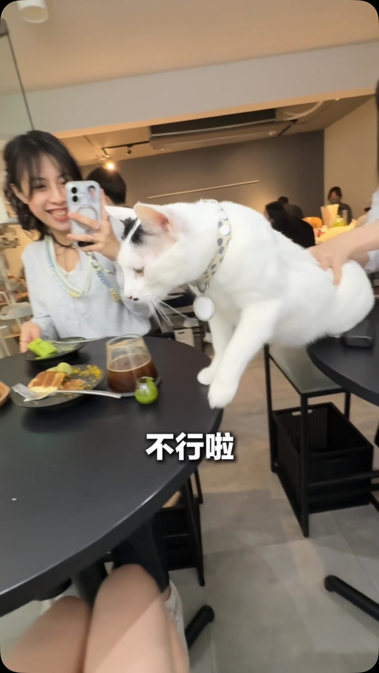 華山旁邊!這間貓咖到底多荒謬🤣
貓咪們都非常親人
連上廁所都有貓陪是怎樣
原本是為了吃千層來的
最後根本都在玩貓😍
📍ABOUT H Coffee
🚇善導寺站
台北市中正區忠孝東路二段39巷2弄18號
#台北美食 #台北咖啡廳 #貓咖 #千層