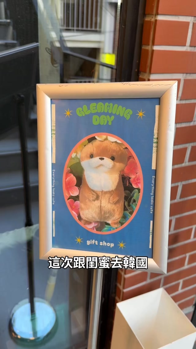 #dino #小水獺 #韓國小水獺 #弘大